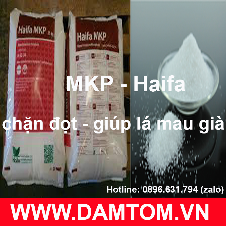 Gói 500g - phân bón lá mkp nhập khẩu israel - mkp haifa - tan hoàn toàn 100%