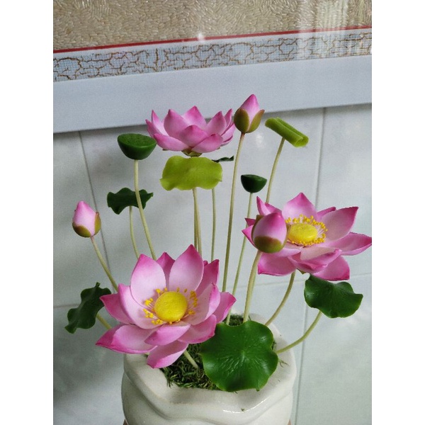 Chậu sen đất sét size nhỏ