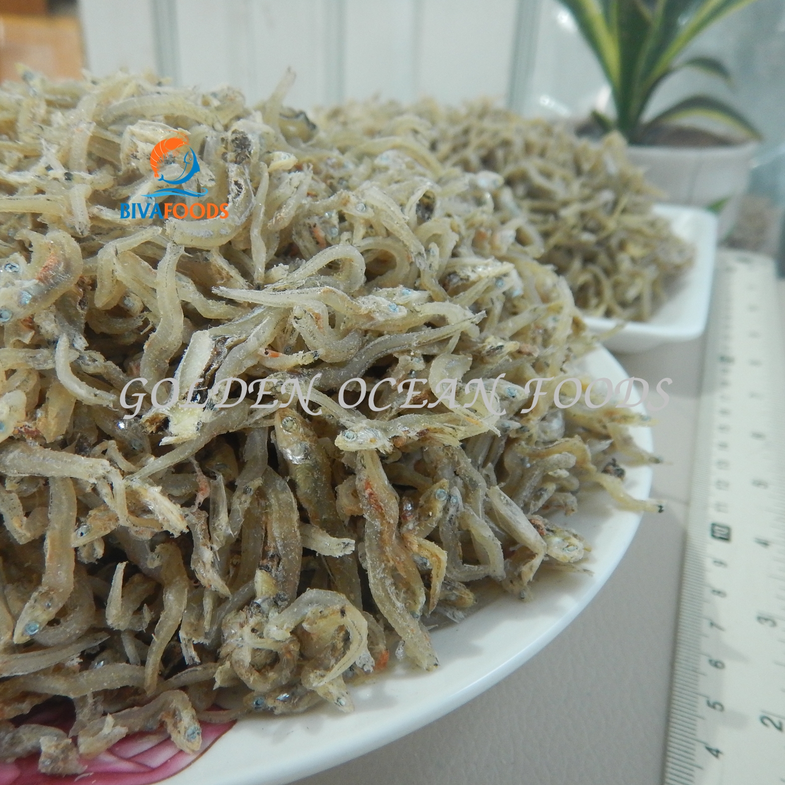 Khô Cá Cơm Mờm Đặc Biệt - Thực Phẩm BIỂN VÀNG