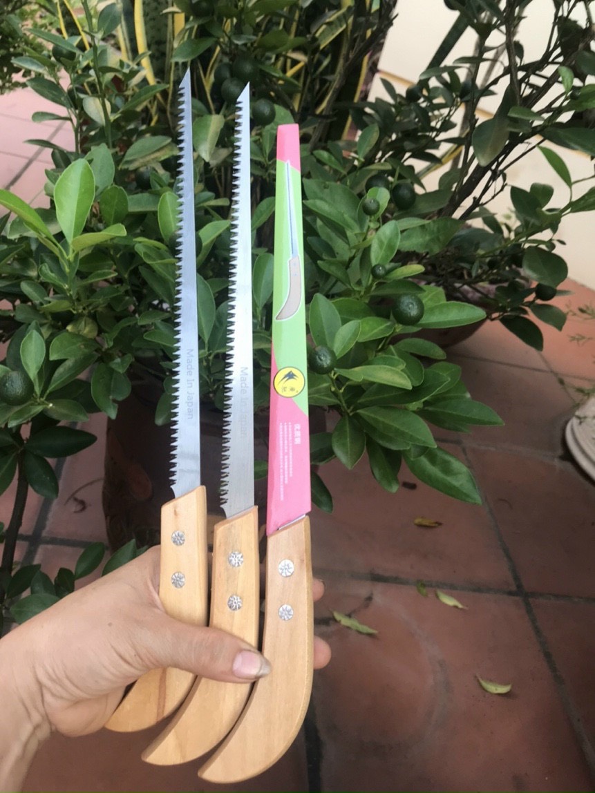 Combo cưa kéo cắt cành cây cảnh, bonsai