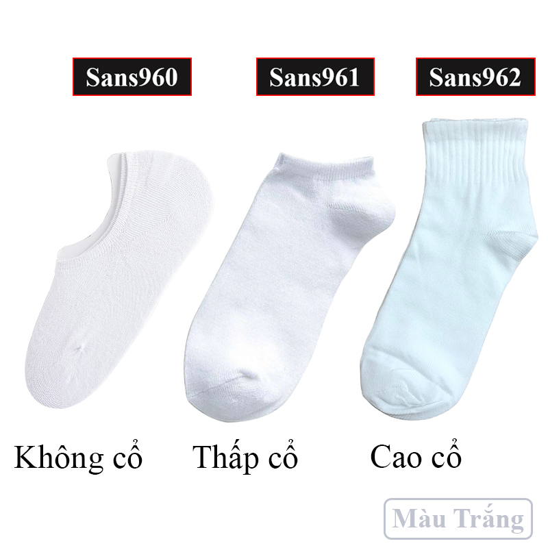 Tất vớ nam nữ đủ cỡ nhiều màu cổ ngắn dài lười trơn chất cotton giá rẻ màu đen trắng xám