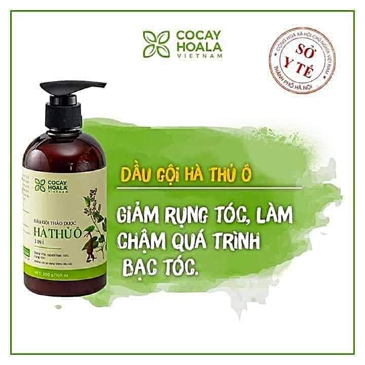 Dầu gội đầu HÀ THỦ Ô ( Cocayhoala)