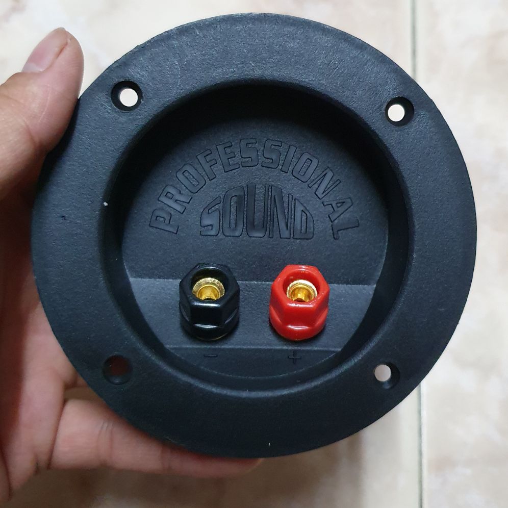 2 chiếc trạm loa tròn to