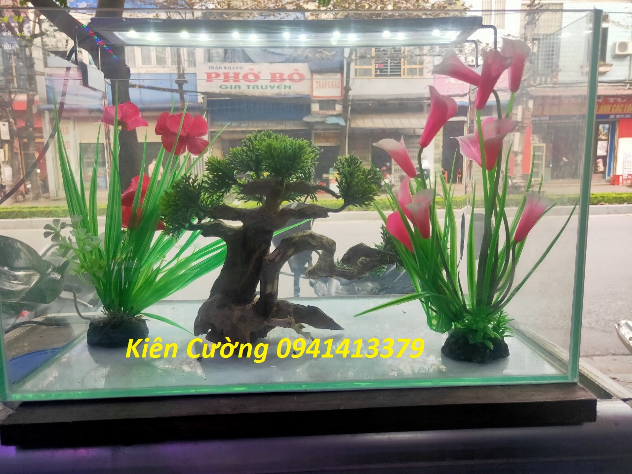 Cây gỗ lũa thủy sinh dùng cho bể cá cảnh, gỗ lúa cao cấp (Mẫu 10)