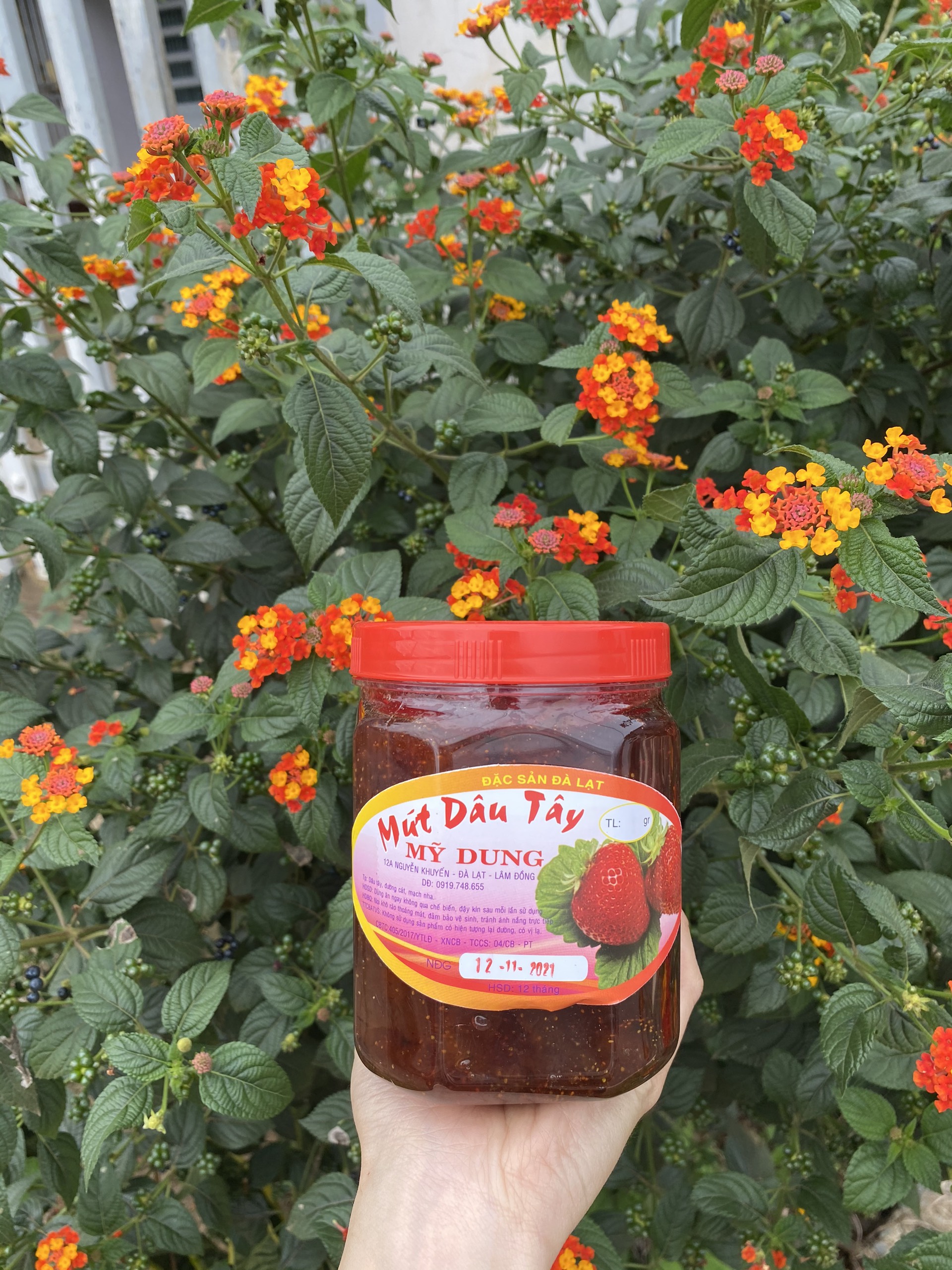 MỨT DÂU TÂY 🍓 ĐÀ LẠT 🍓🍓|MD