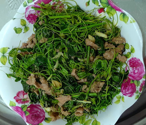 Cây giống Rau Bò Khai ( rau dạ hiến)