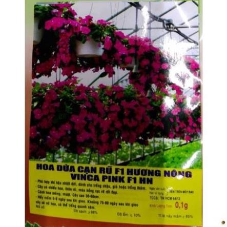 Kích rễ cao cấp Root 2 roots2 USA 100ml