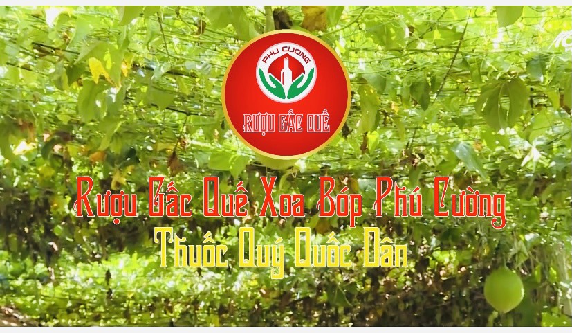 Rược Gấc Quế Xoa bóp Phú Cường