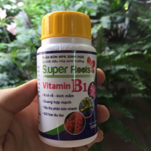 Chai 100ml - phân bón vitamin b1 super roots - kích rễ bật mầm
