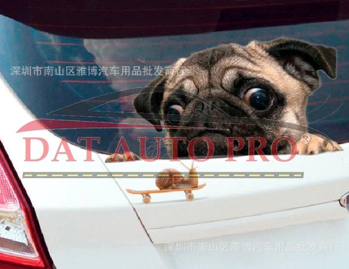 Tem Dán xe oto chó pug siêu dễ thương.