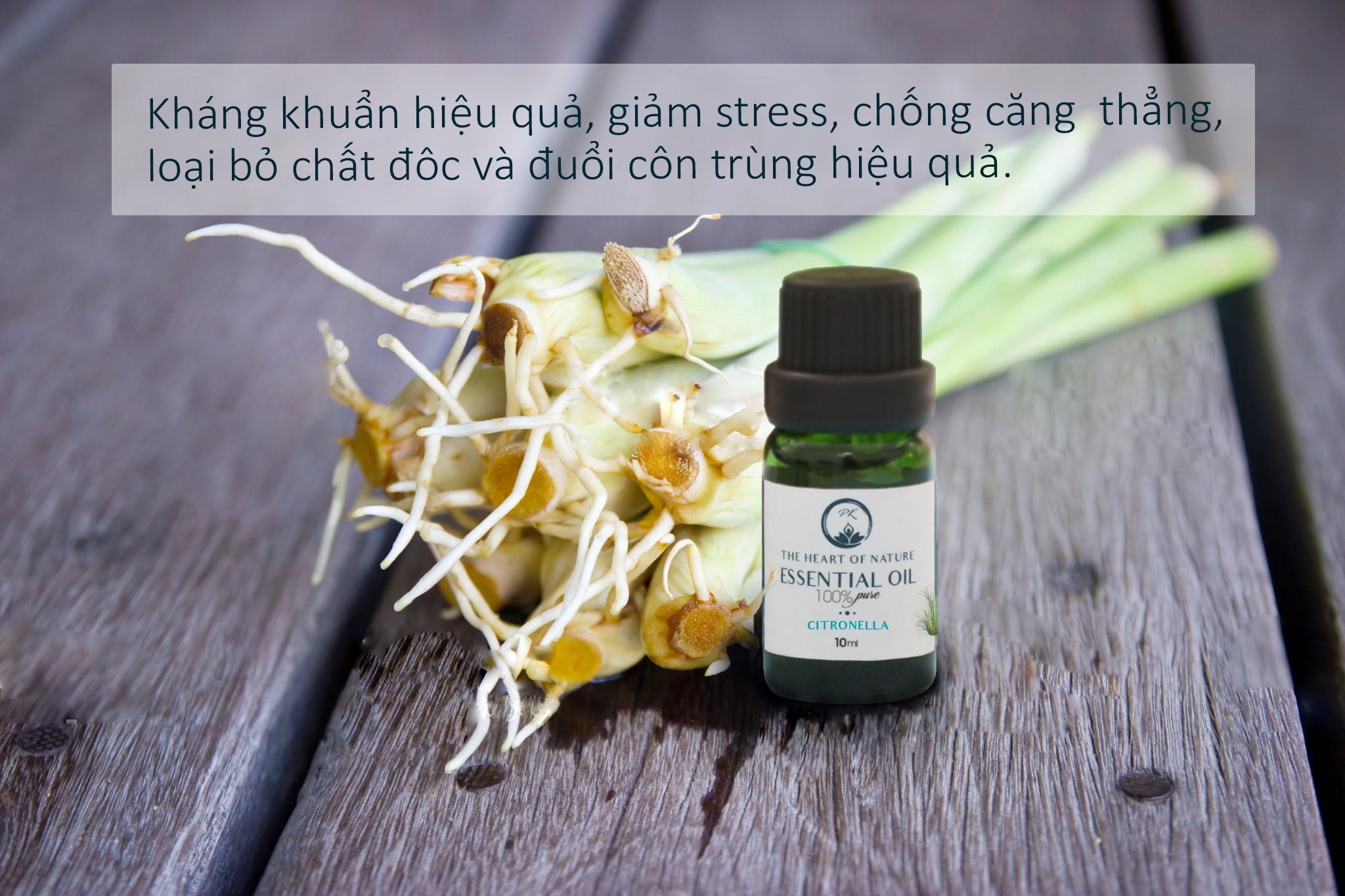 Tinh dầu sả Java Citronella Nguyên Chất