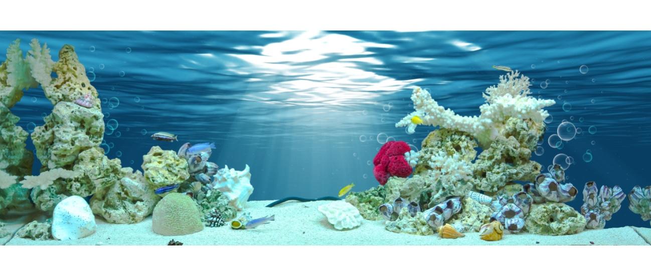 Tranh phông nền VTC dán hồ cá, bể thủy sinh Aqua_040 KT 120 x 60 cm