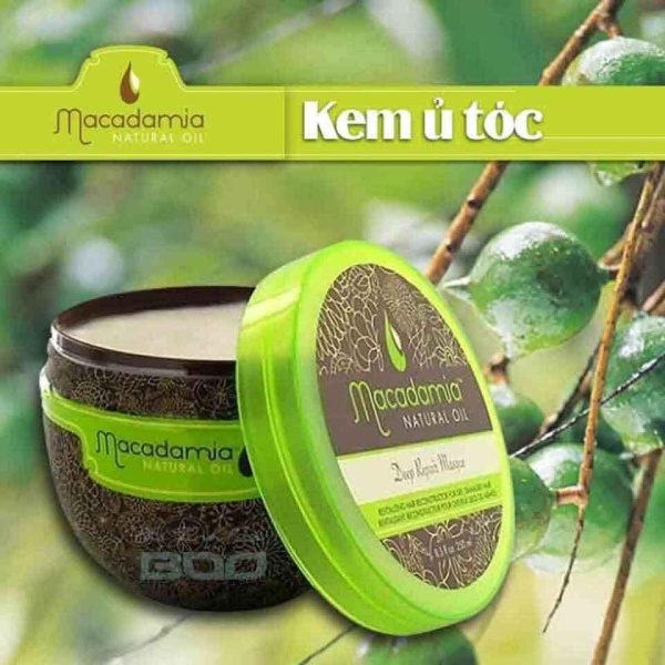 Kem Hấp Đặc Trị Tóc Hư Tổn Chuyên Sâu Macadamia Deep Repair Masque 500ml
