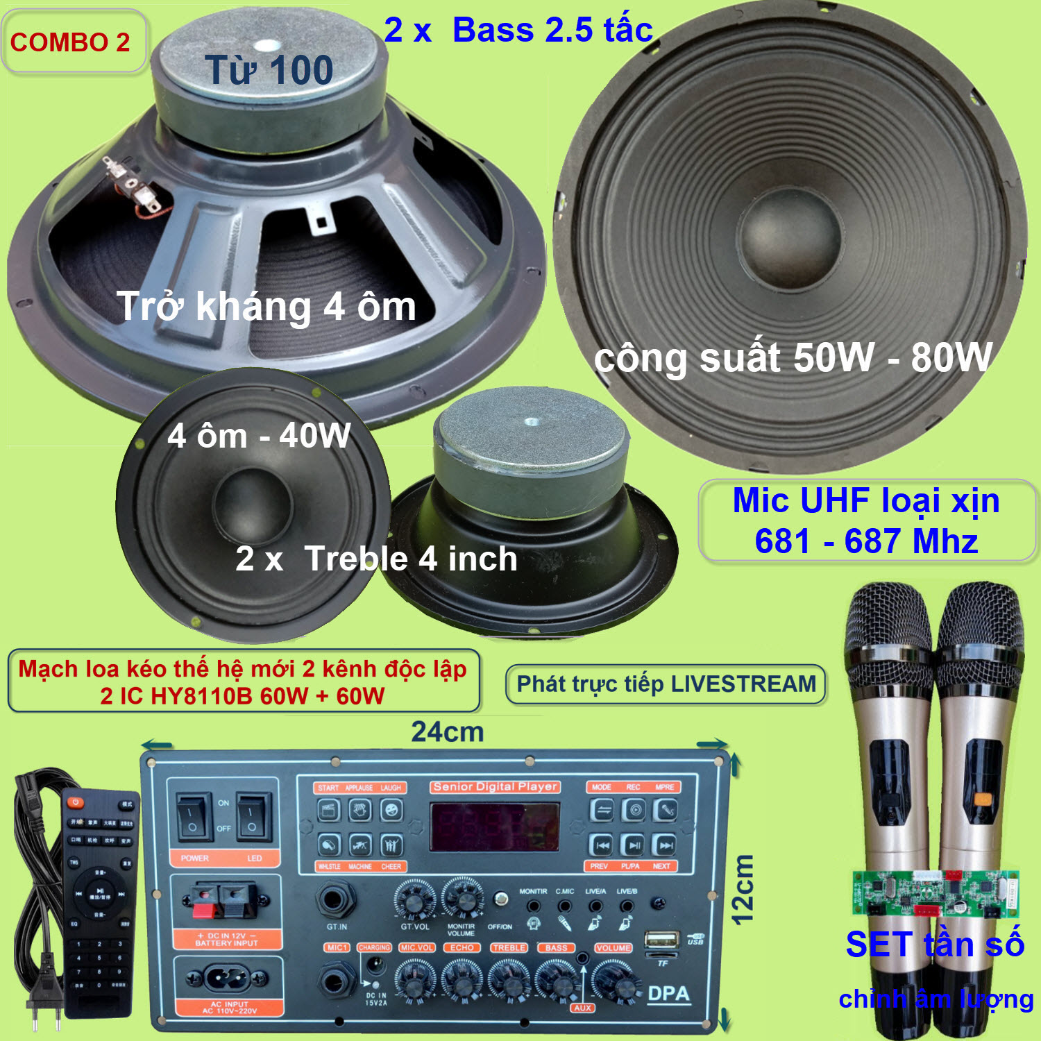 Mạch loa kéo 2.5 tấc đôi DSP lập trình chống hú HY8110B 60W + 60W DSP lập trình chống hú có nguồn xung 220V