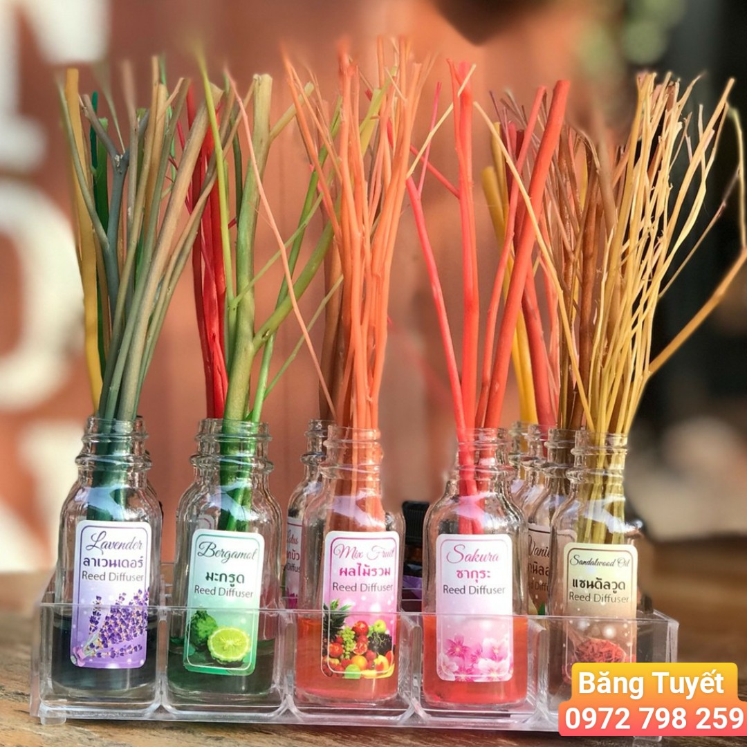 Tinh dầu phát tán thân gỗ Hong Hom