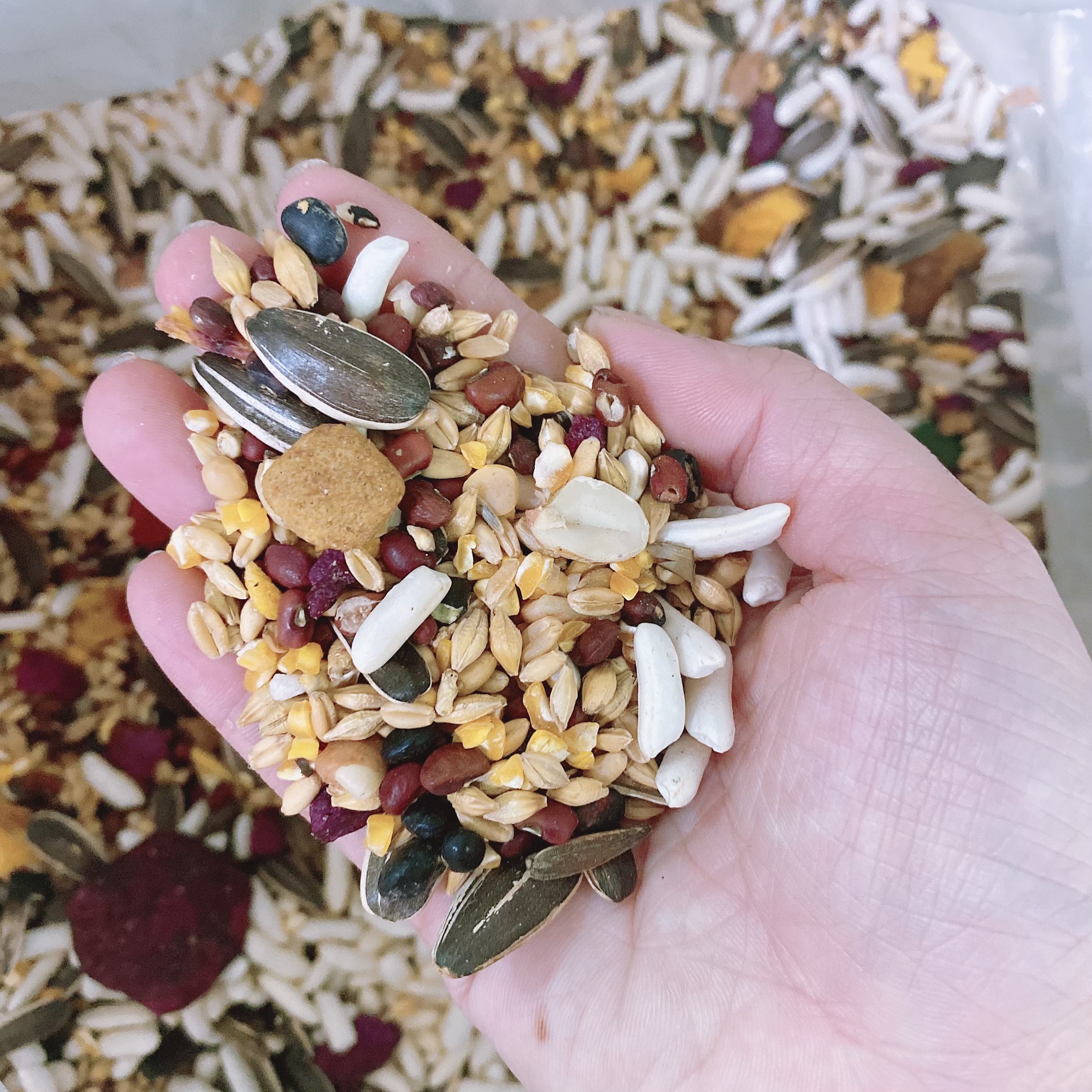 THỨC ĂN HAMSTER 500G