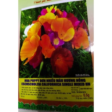 Phân bón đậm đặc HVP Vitamin B1 cho Phong Lan 250ml