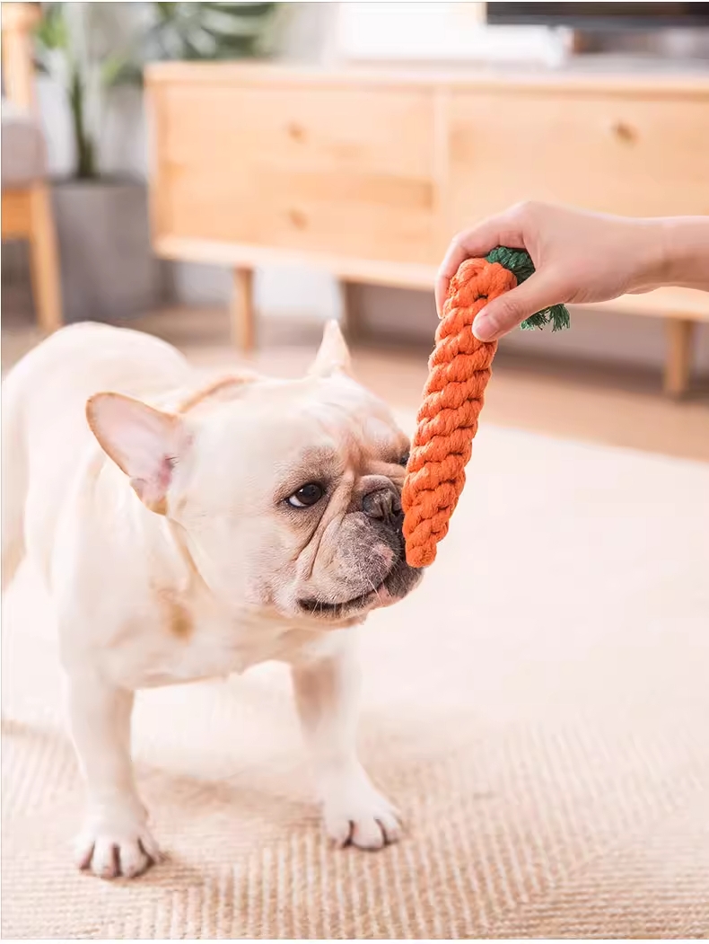 đồ chơi chó mèo - cà rốt thừng cho chó mèo - T3 PETS SHOP