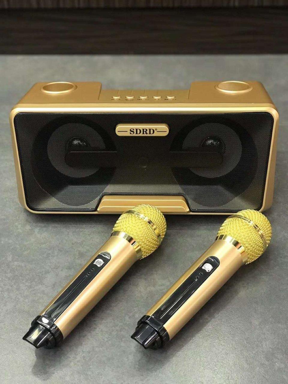 LOA KARAOKE DI ĐỘNG SDRD 301 SIÊU ĐẸP SIÊU HAY