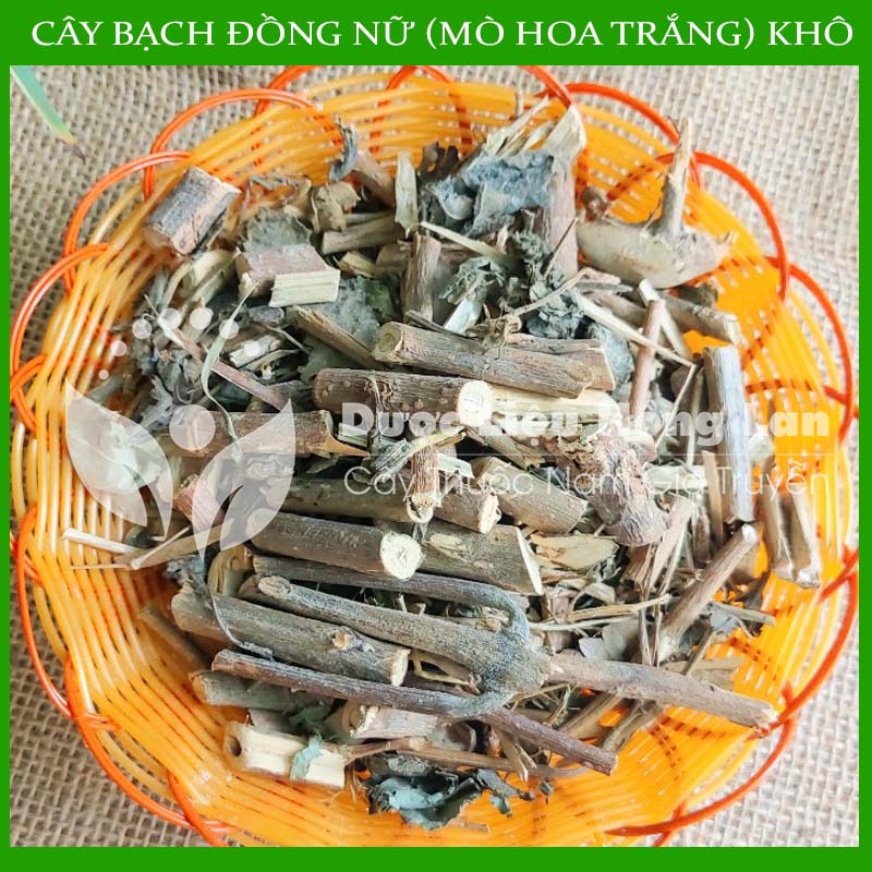 Cây bạch đồng nữ khô 500g - hàng công ty loại 1