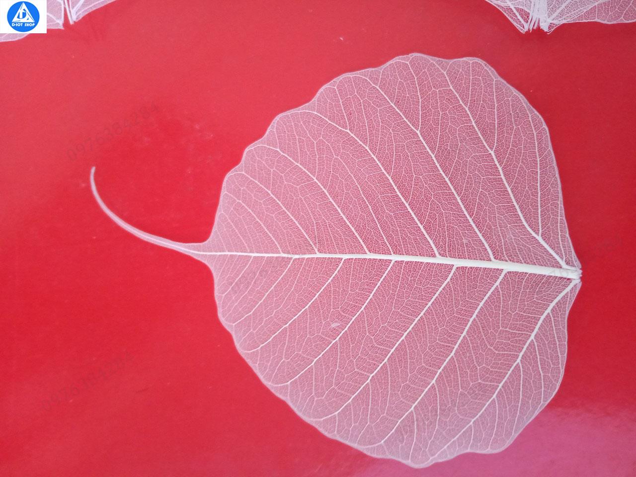 lá bồ đề tự nhiên
