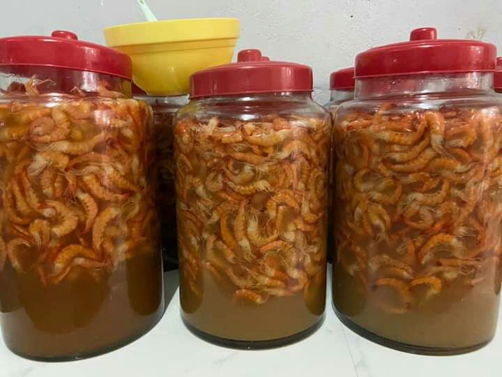 Mắm Tép Đất