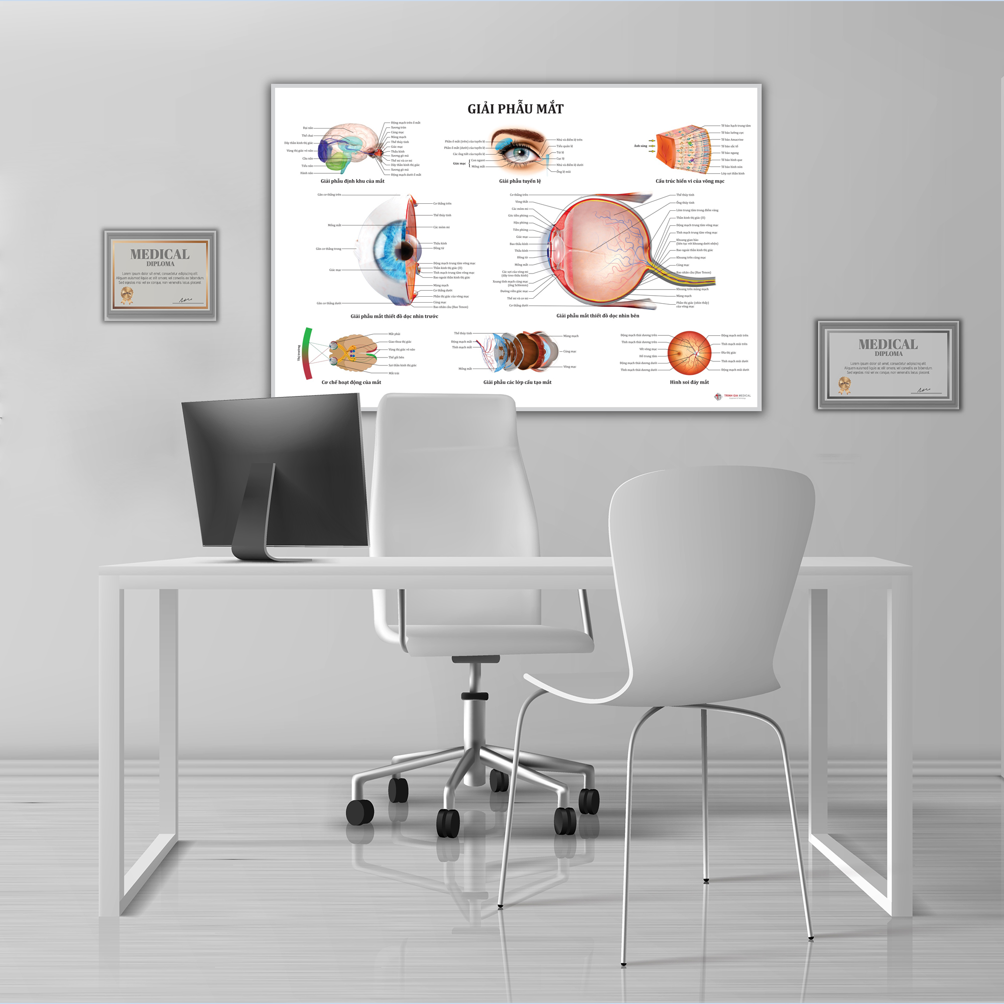 Tranh giải phẫu Mắt - 50x75cm - Decal dán