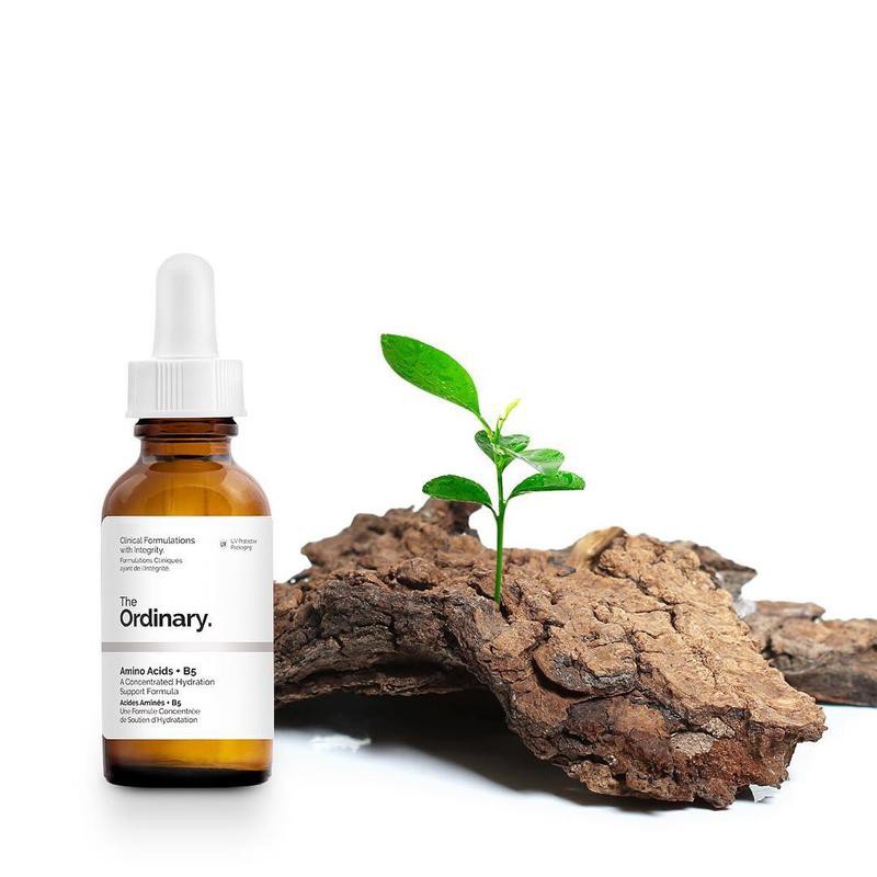 [HCM]Phục Hồi Da The Ordinary Amino Acids + B5 (30ml)