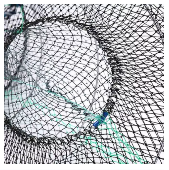 Retractable Fishing Net Telescopic Folding Landing Net Pole