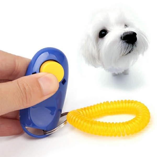 Clicker huấn luyện chó