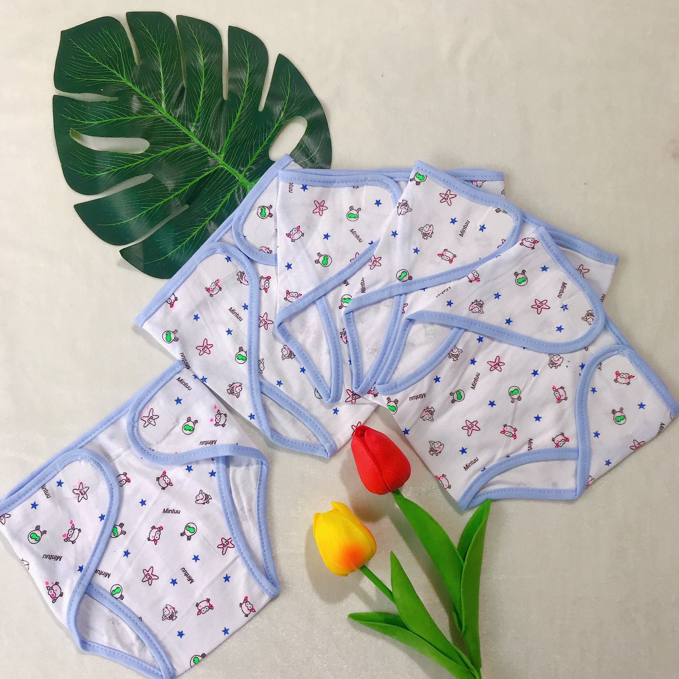 Set 5 Tã Vải Dán /Tã Quần Đóng Bỉm Sơ Sinh Mintuu (3-9kg)