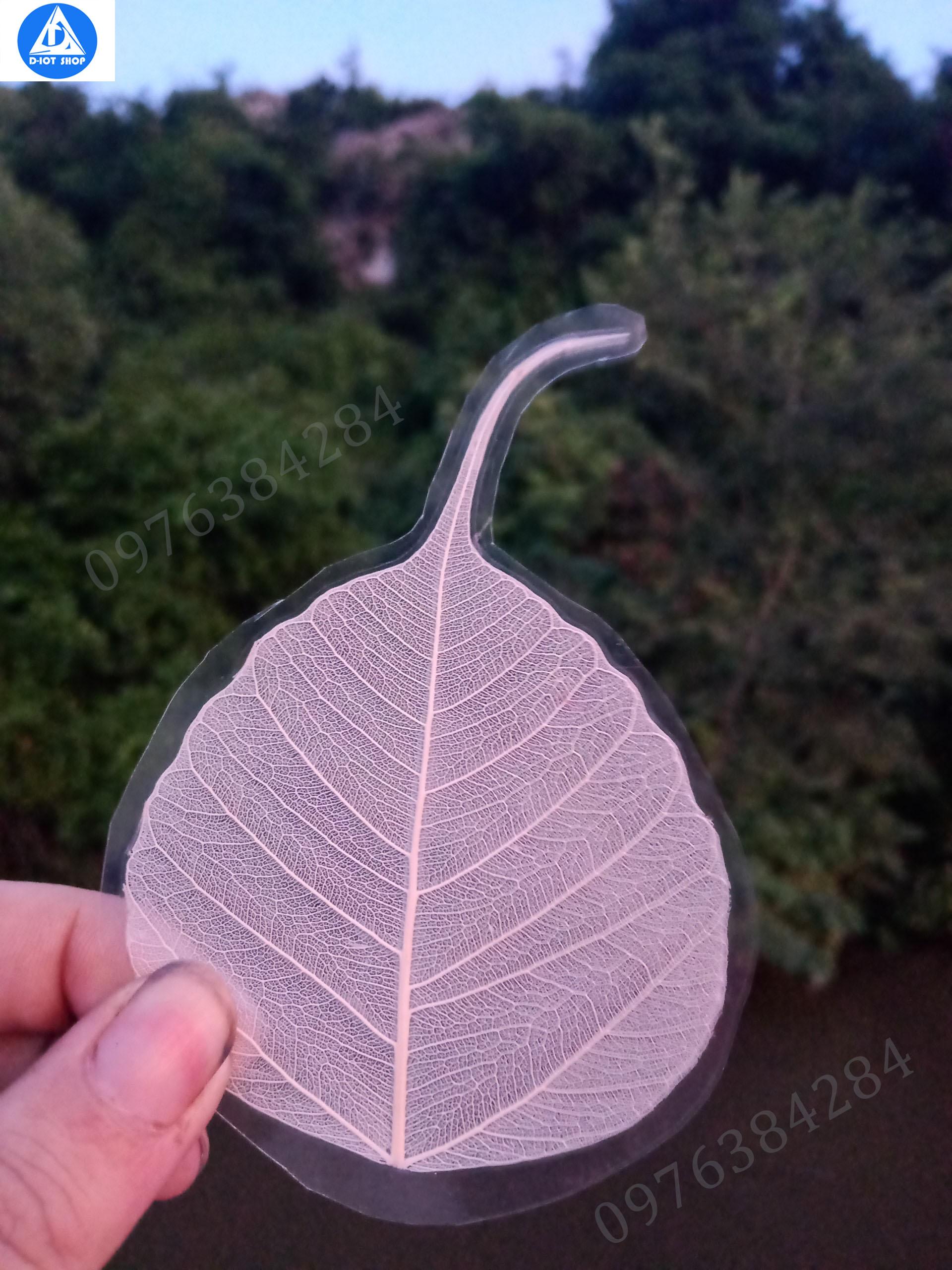 Lá bồ đề ép plastic ốp điện thoại