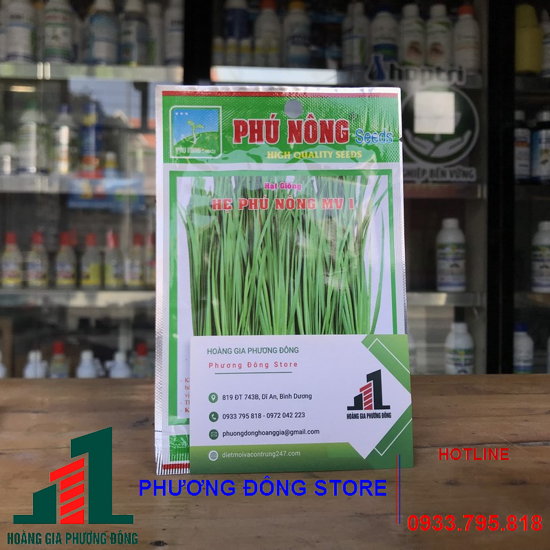Hạt giống rau hẹ tốt cho năng suất cao gói 2g
