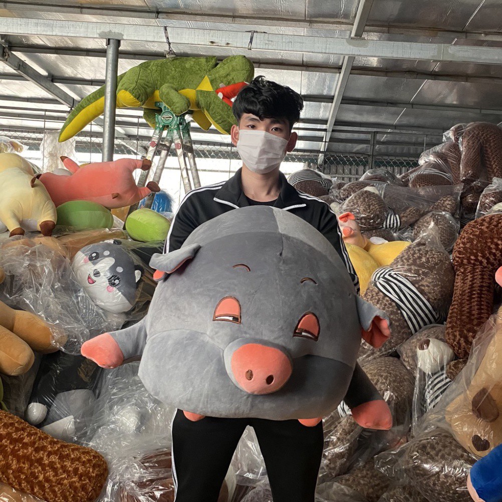 Gấu Bông to Gối Ôm Heo Lợn 75cm - 1m