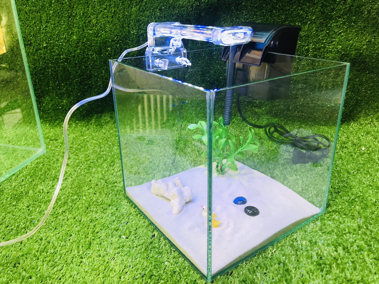 bể cá cubic - combodend10- bể cá mini
