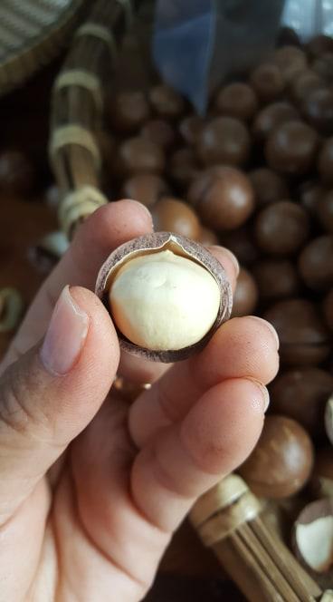 Hộp 500gr hạt Macca Nhập Khẩu Úc TGMS24H
