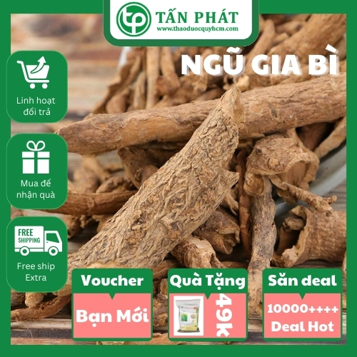 [TÚI LỚN 1KG]Ngũ gia bì sấy khô hàng công ty chất lượng cao - chuyên dùng để hỗ trợ cải thiện tình trạng đau nhứt xương khớp - Thảo Dược Tấn Phát