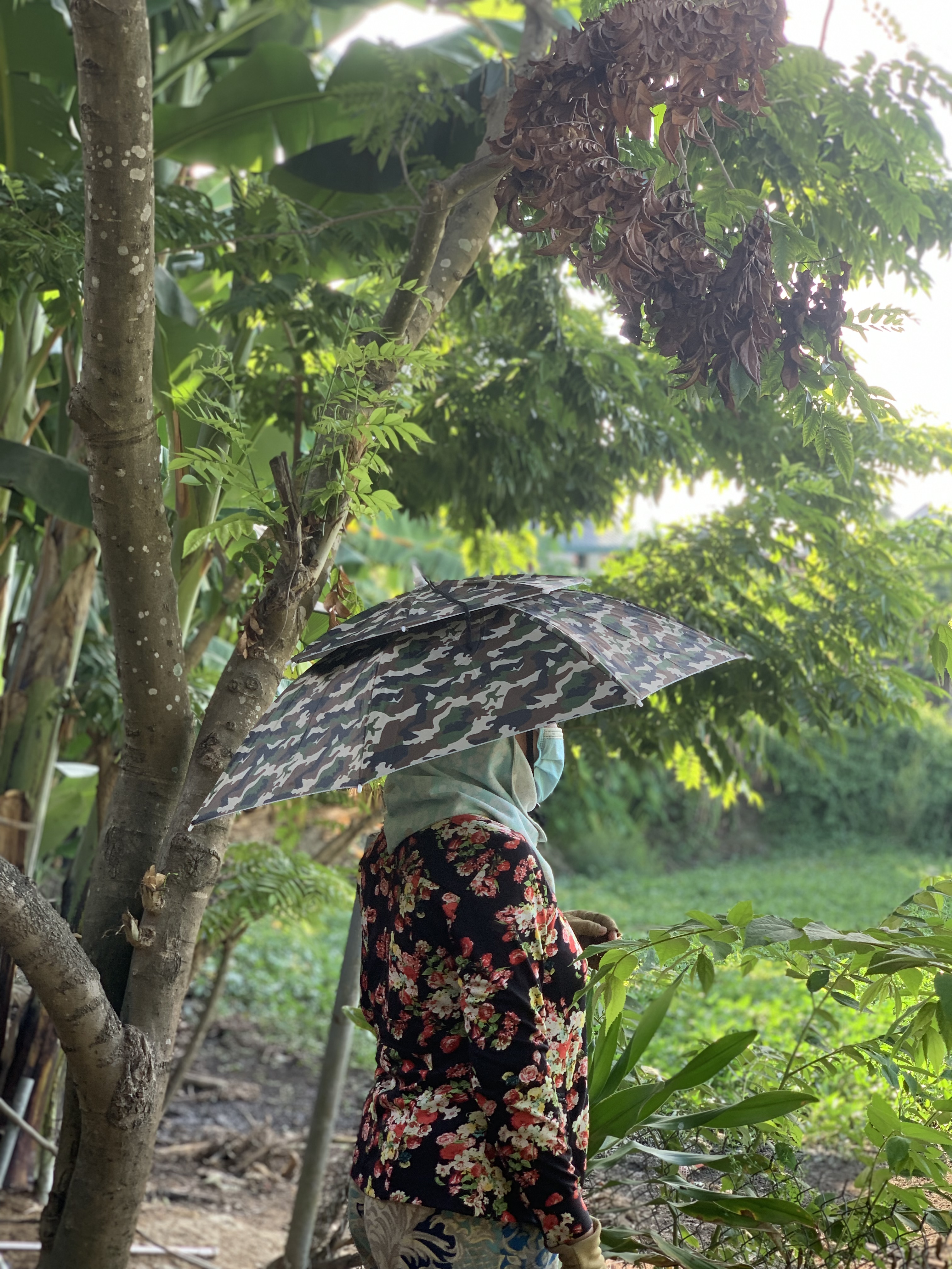 Mũ dù làm vườn/ đi câu