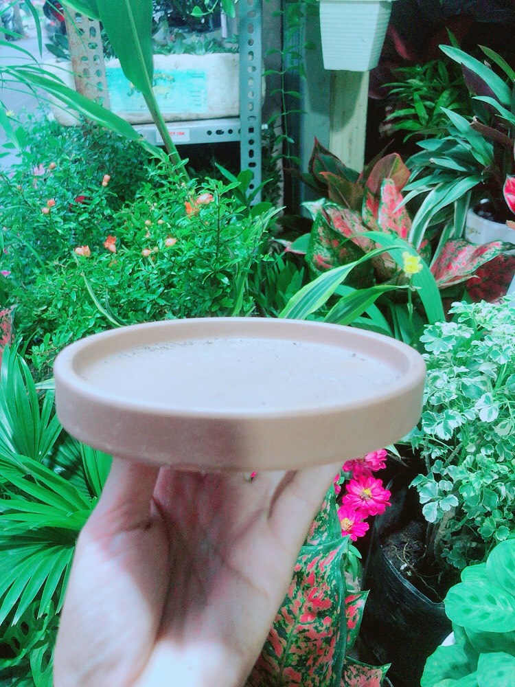 Đĩa Lót Chậu (đường kính 14cm)