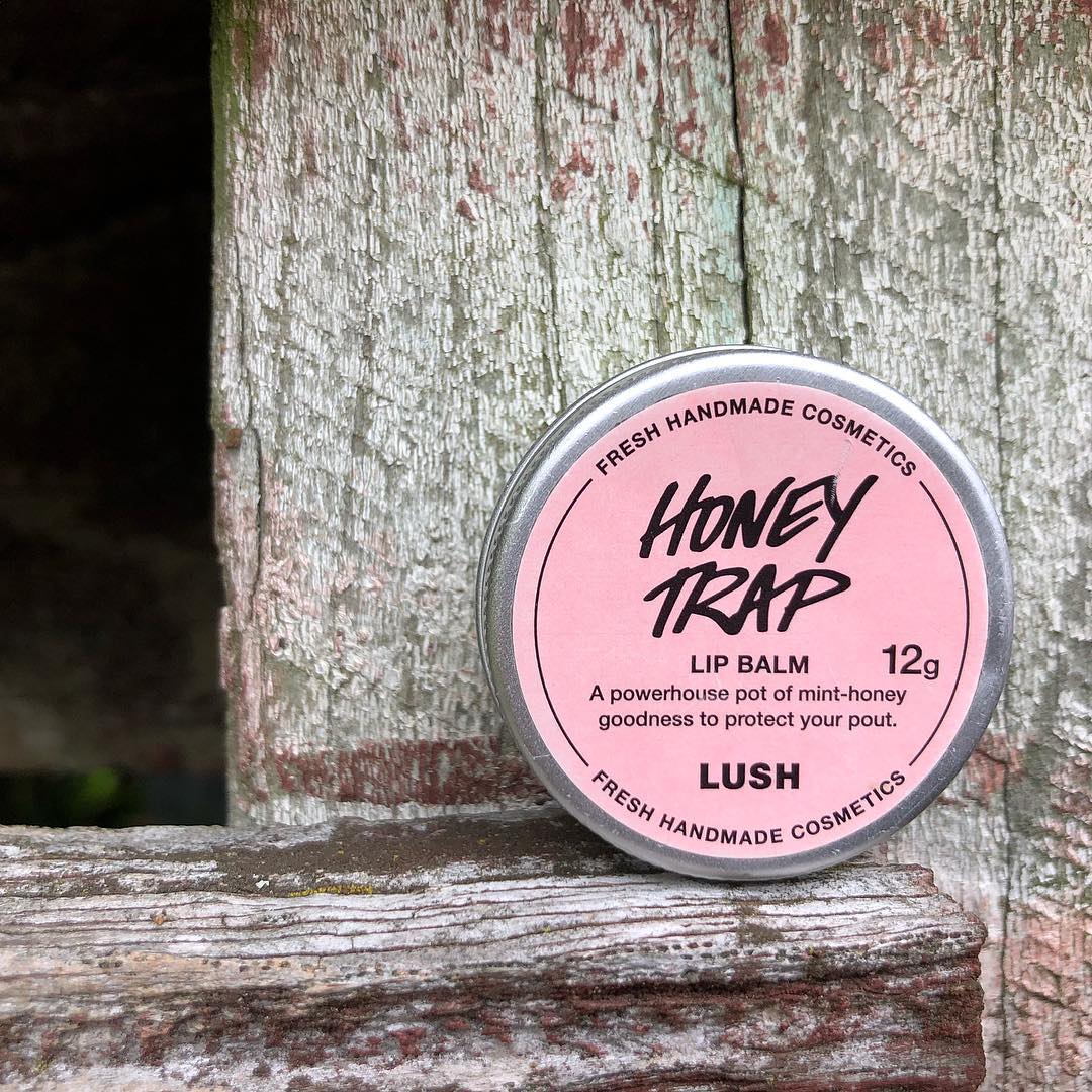 [HCM]Son dưỡng môi LUSH - Honey Trap lip balm