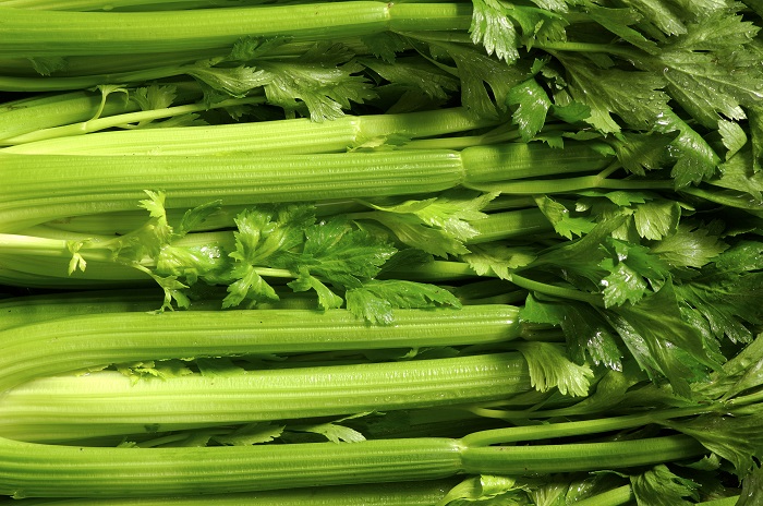 Hạt giống cần tây 5gr