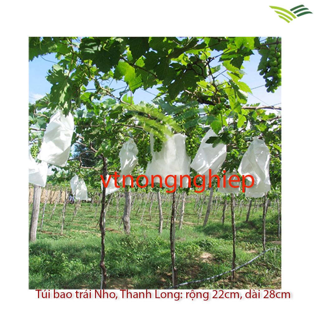 100 túi bọc trái plant KT 22x28cm