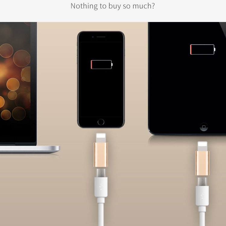 [HCM]Đầu chuyển đổi từ Micro USB sang Lightning cho Iphone