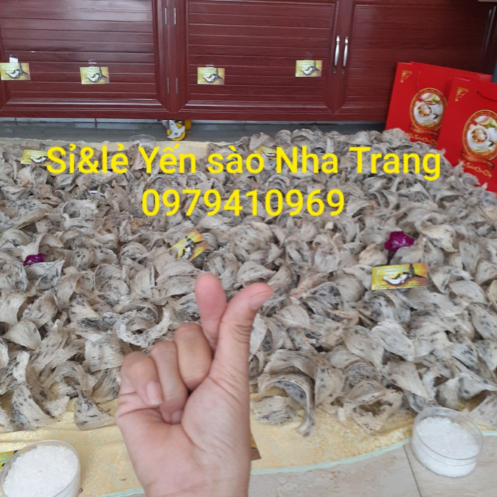 yến sào thô tổ sạch đẹp (1 lạng) 🎁 đồ chưng