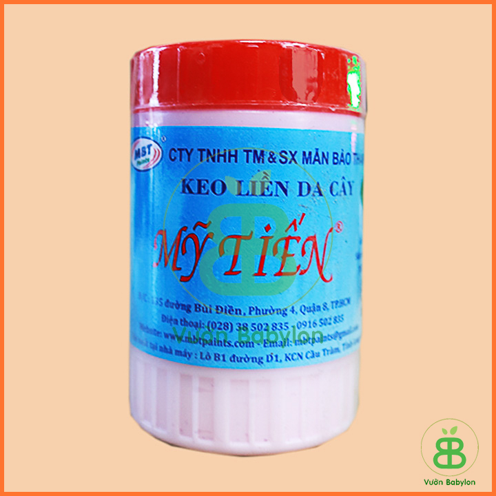Keo Liền Sẹo Mỹ Tiến 225G