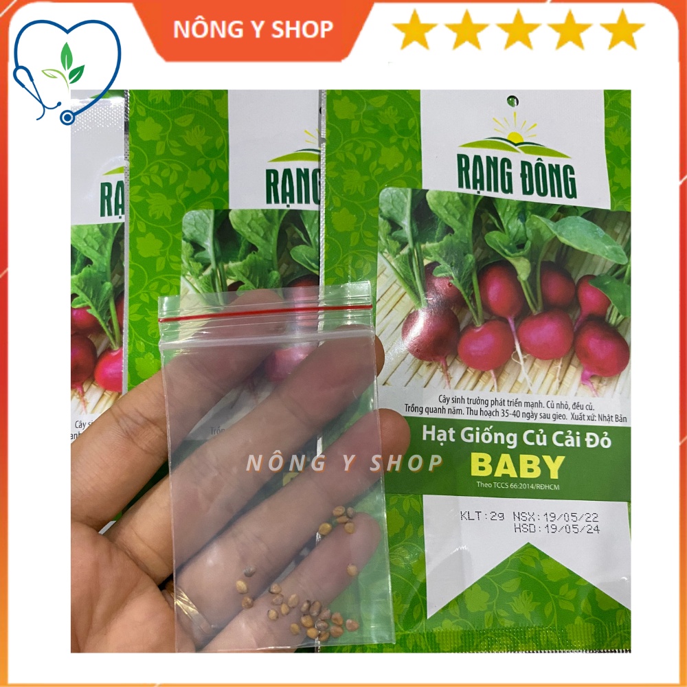 Hạt giống Củ cải đỏ tròn Baby Rạng Đông
