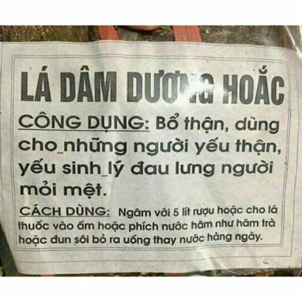 250g lá dâm dương hoắc khô