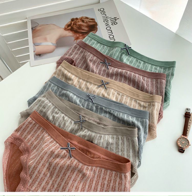 Combo 5 quần lót nữ cotton viền ren cạp đính nơ co giãn 4 chiều kháng khuẩn