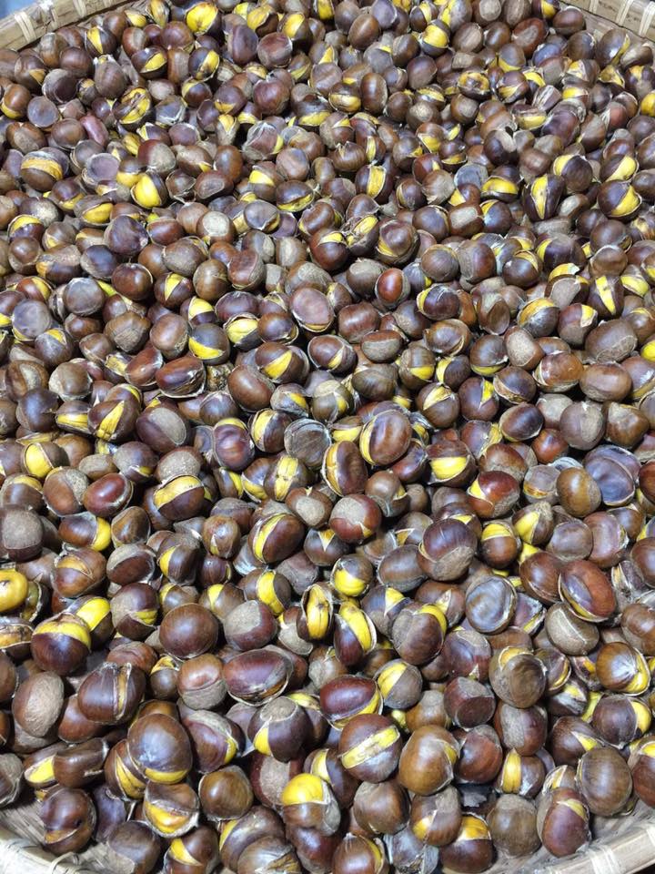 Hạt dẻ Trung Khánh