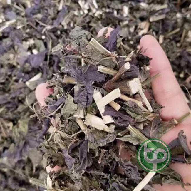 [Hàng công ty mới về] Tía tô khô 500g - tấn phát - Thảo dược khô chuyên dùng để pha trà và sắc nước uống